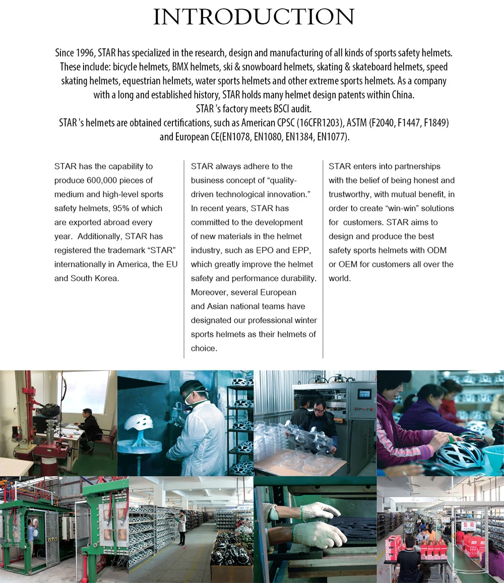 COMPANY INTRODUCTION