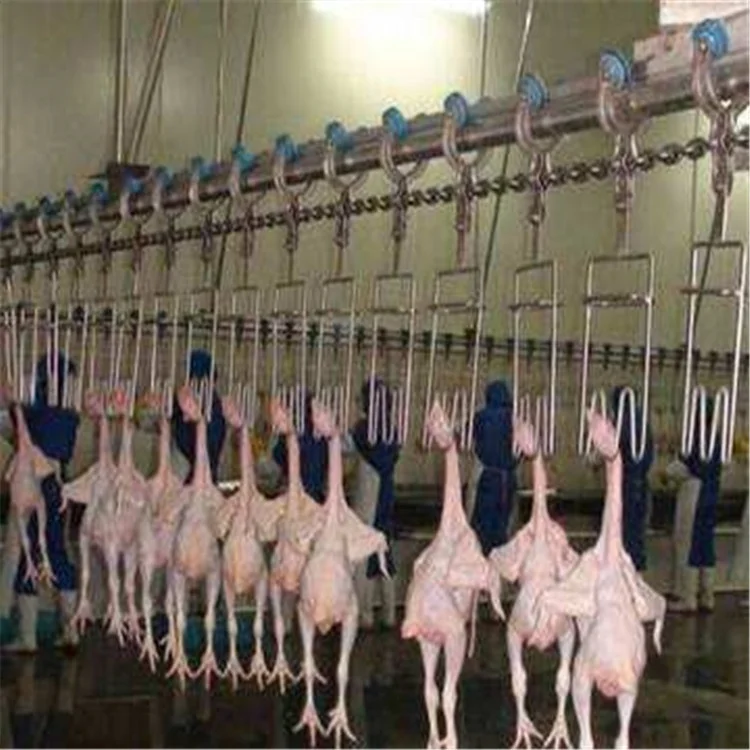 Halal chicken slaughter processing line for Muslim slaughterhouse