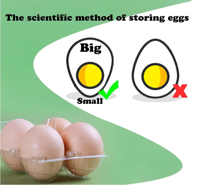 40 Pack Clear Plastic Egg Carton Holds Up to 12 Eggs - 1 Dozen, Reusable Egg Carton for Family