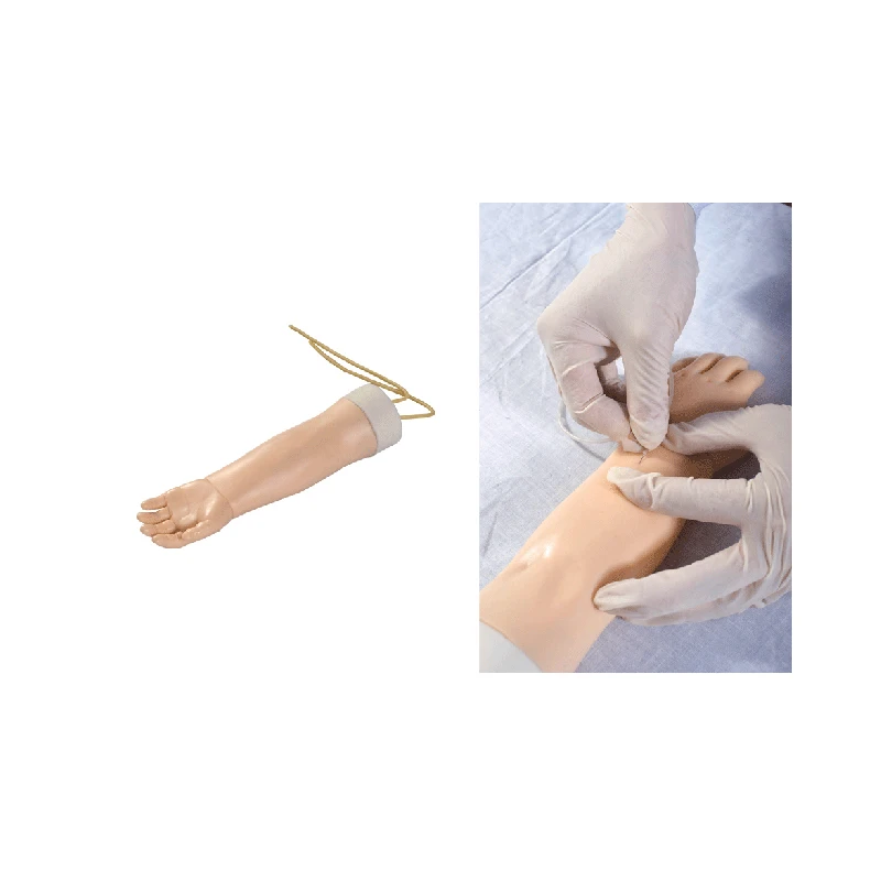 Medical teaching Human medical intravenous injection training hand model for nurse training