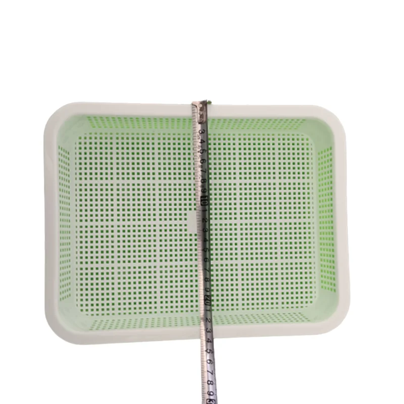 Home Garden Wheat Seedlings Nursery Pots Growing Planting Dishes Double Peanut Bud Sprouts Plate Seedling Tray