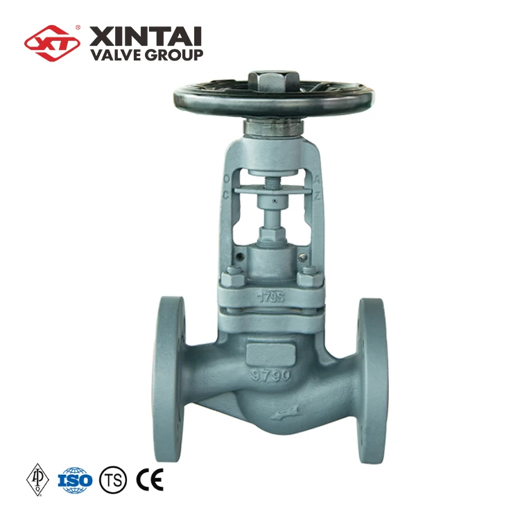 J41H-16P DN25 PN16 Custom Ductile Iron Cast Iron DIN S Pattern Flanged Bellows Seal Globe Valve