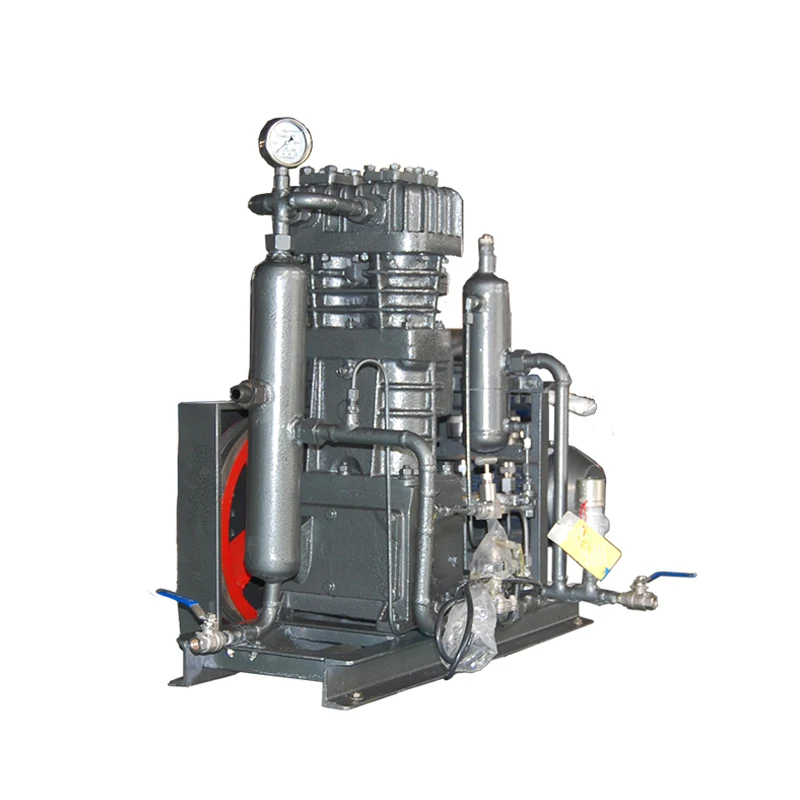 High Efficiency Oil Free 250 Bar Industrial Compressors Automation Piston Reciprocating N2 Nitrogen Air Compressor