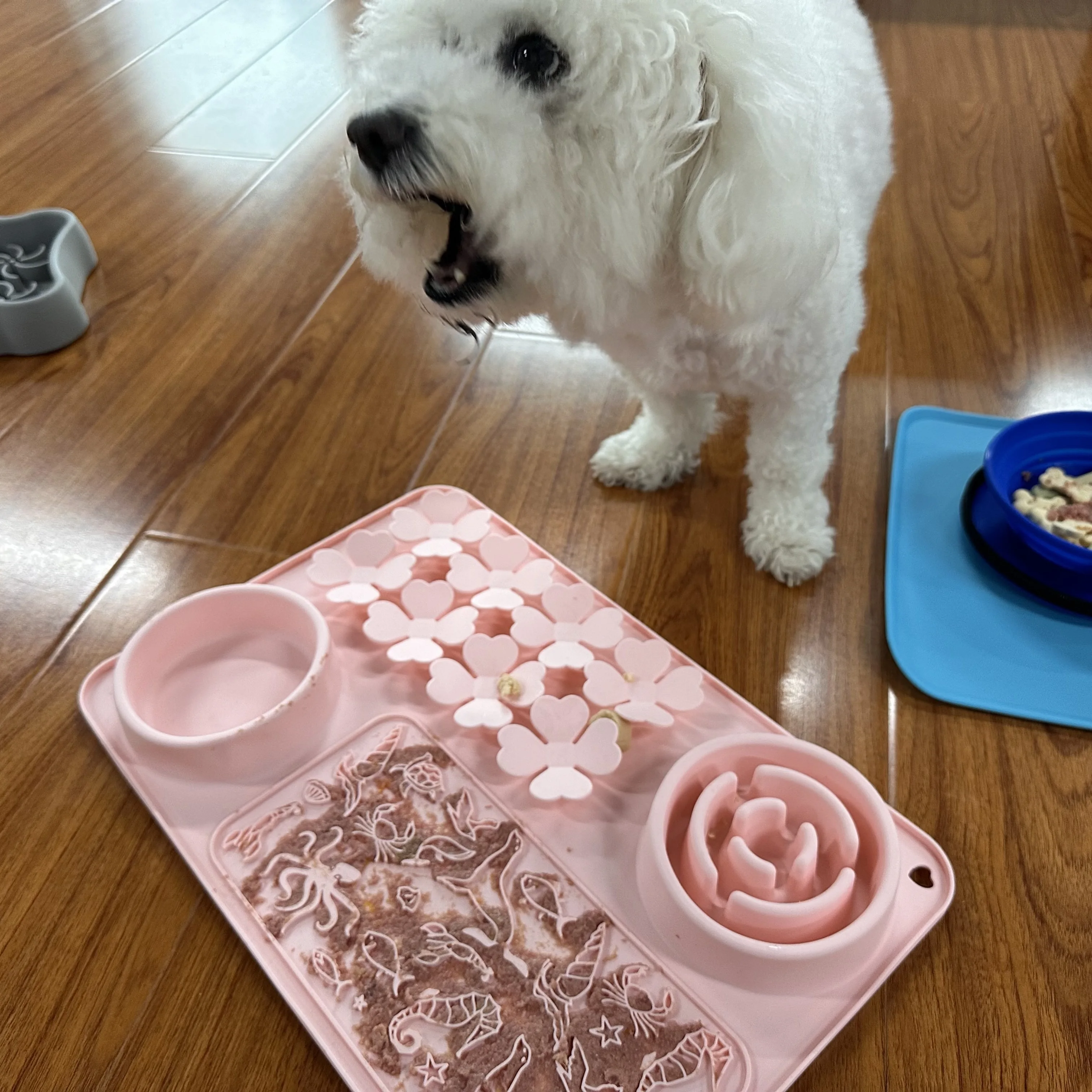 Licking Mat for Dogs & Cats 2 Pack with Suction Cups Dog Peanut Butter Lick Pads for Boredom Reducer Perfect for Bathing Groomin