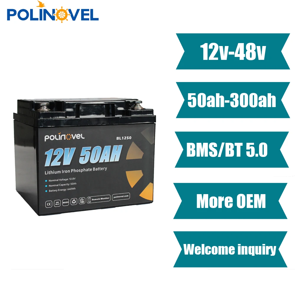 Polinovel Deep Cycle 50ah 100ah 12v batterie 200ah 400ah 24v 150ah Lithium Iron Phosphate Rechargeable Lifepo4 Battery