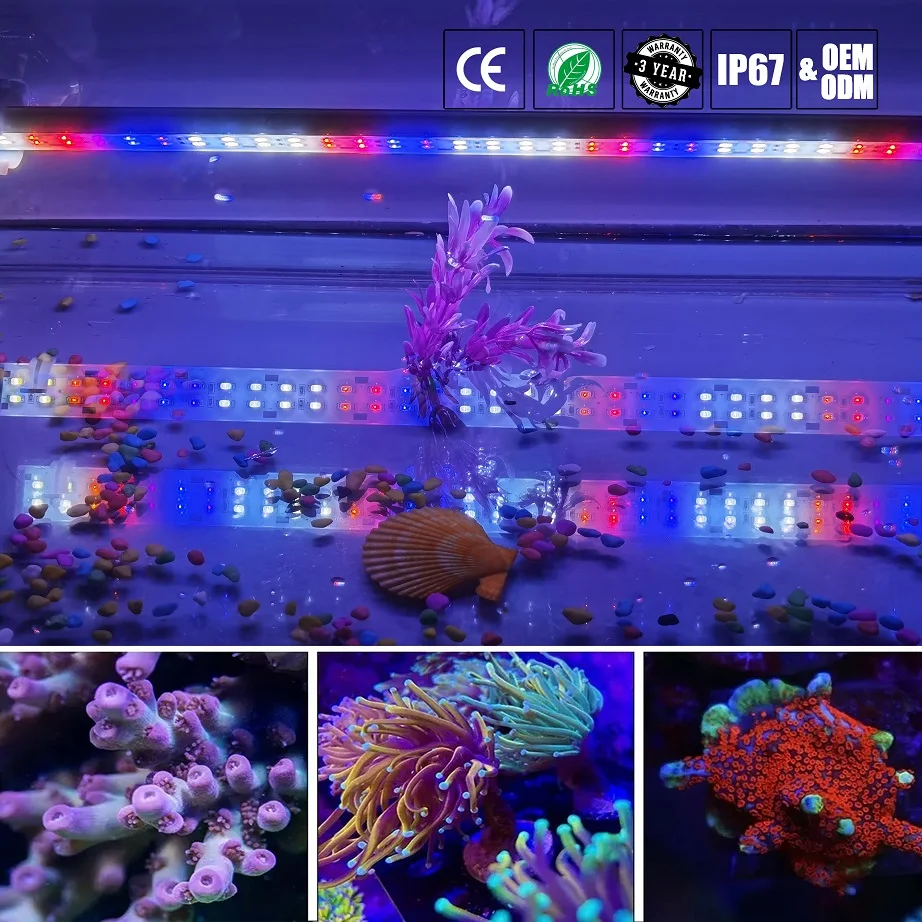 20inches 30W 32inches 45W Full Spectrum Planted Grow Lamp Aquarium led light 12V Reef Coral Plant Fish Tank Lamp