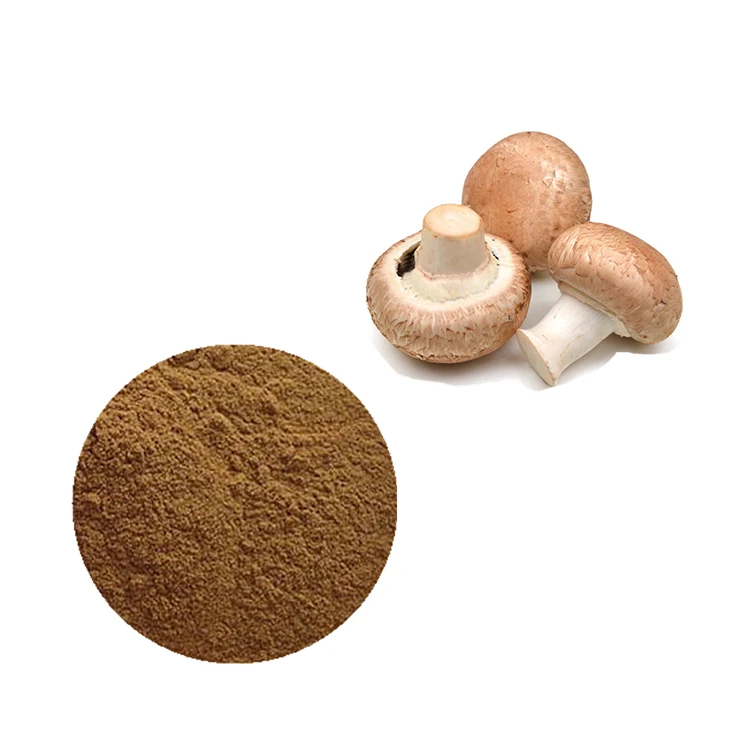 
Halal Certificate Top Grade For Anticancer 30% Polysacharides Dried Shiitake Mushroom Extract 