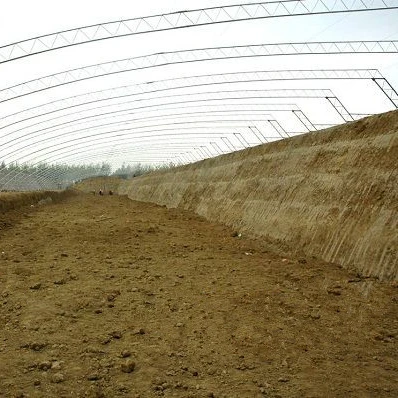 Дешевая оптовая продажа, высокое качество, горячая Распродажа, сельскохозяйственная теплица на солнечных батареях с твердыми стенками