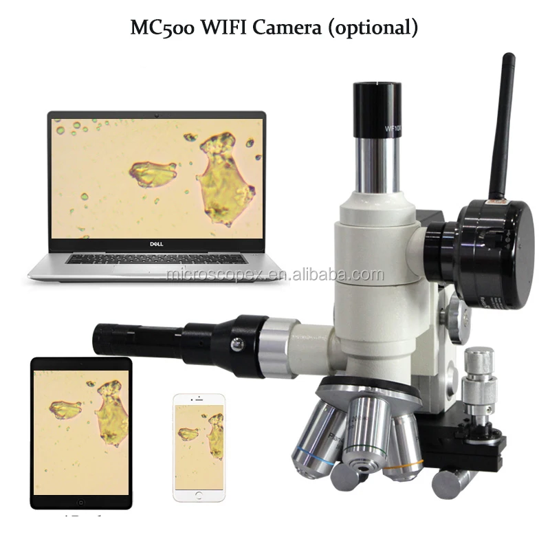 BJX-2000 Portable Metallographic Metallurgical Microscope with Horizontal Photographic Output