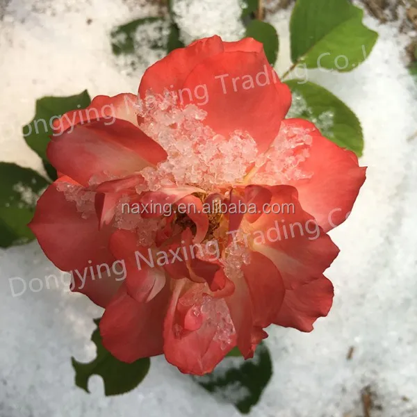 Instant expanding artificial snow decoration indoor outdoor snow magic snow for novelty toy