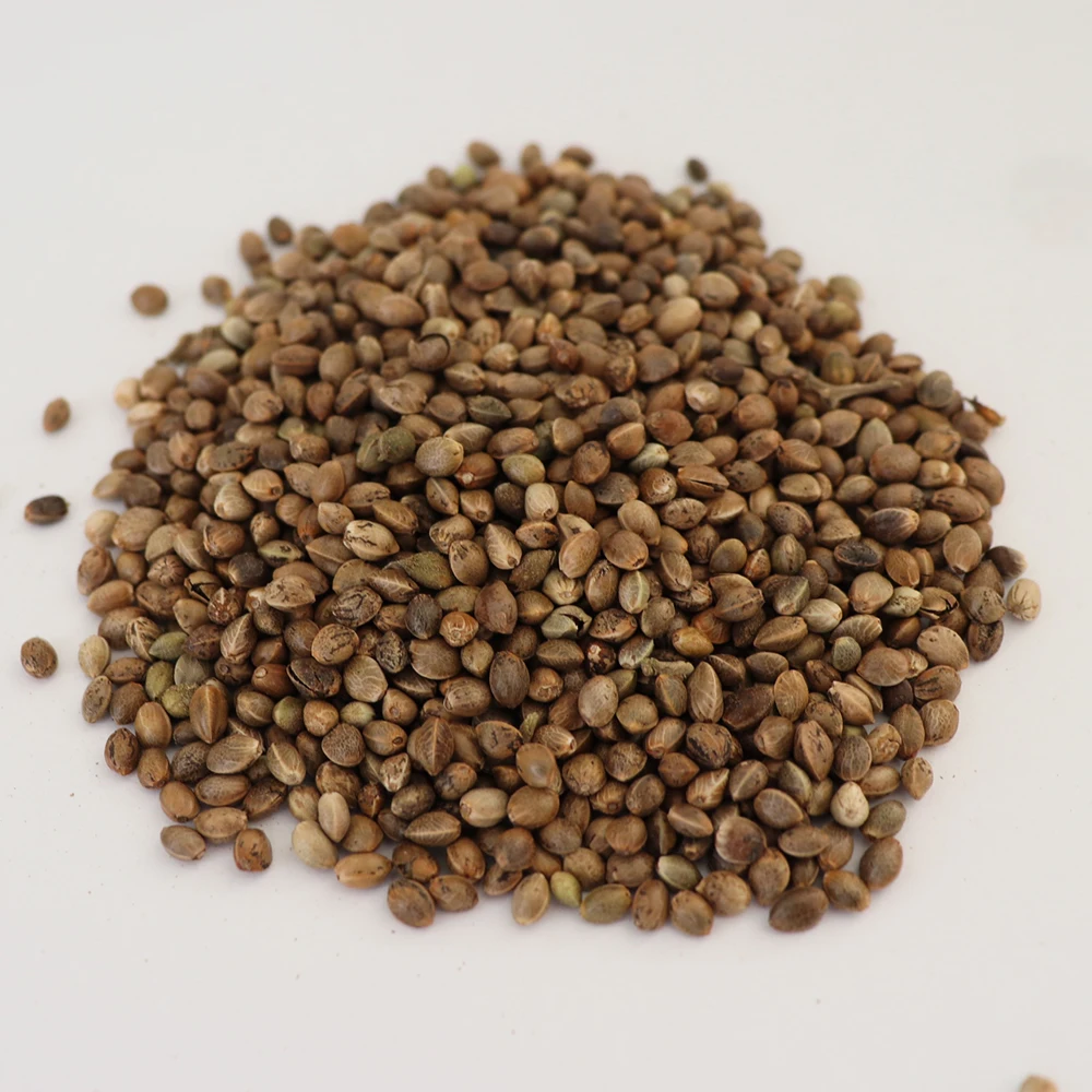 Bulk Raw Organic Hemp Seed OEM Hemp Seed Price