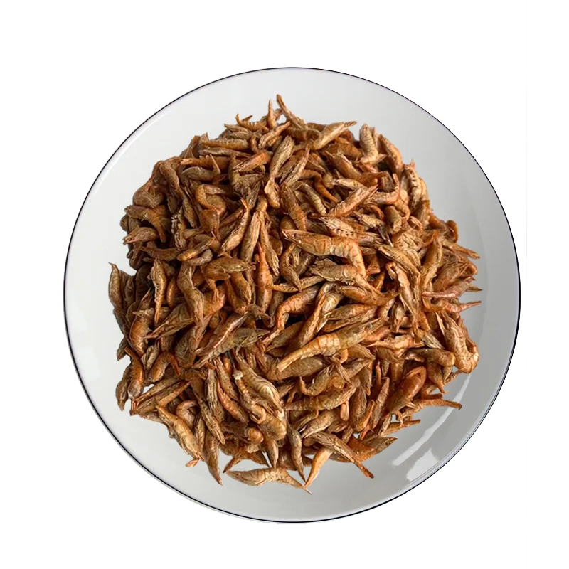 River Shrimp aquarium fish food Turtle Feed