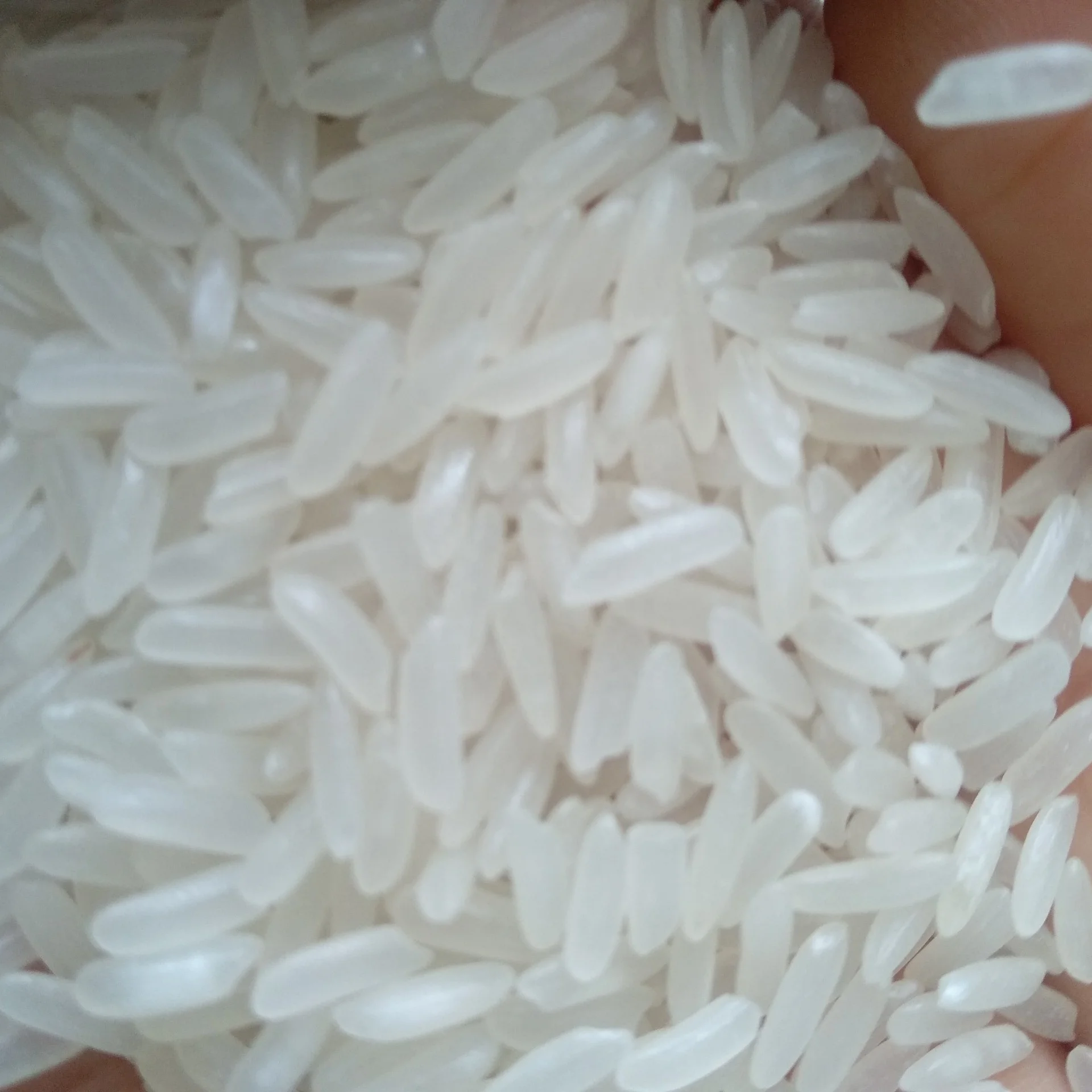 CAMBODIA JASMINE RICE - Whatsapp: +84765149122