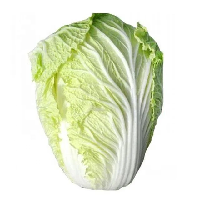 Chinese Cabbage Fresh Cabbage
