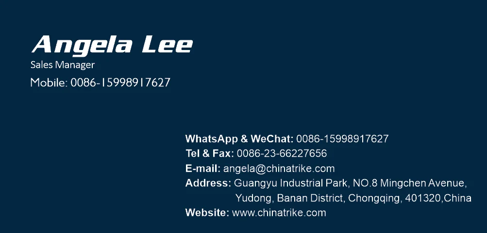 Chongqing factory OEM made 200cc 250cc 300cc gasoline tricycle