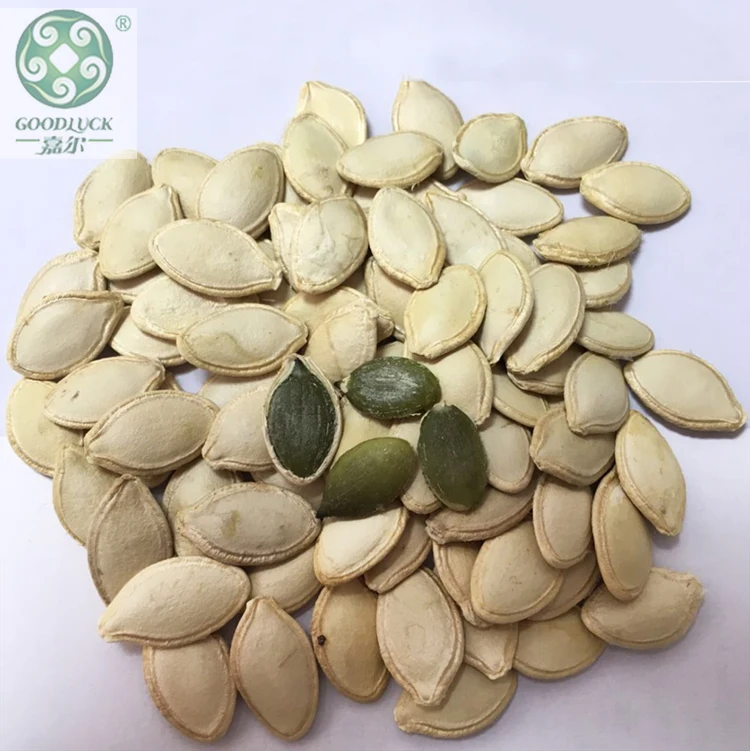 China factory price shine skin pumpkin seed Top grade export quality shine skin pumpkin seed on sale