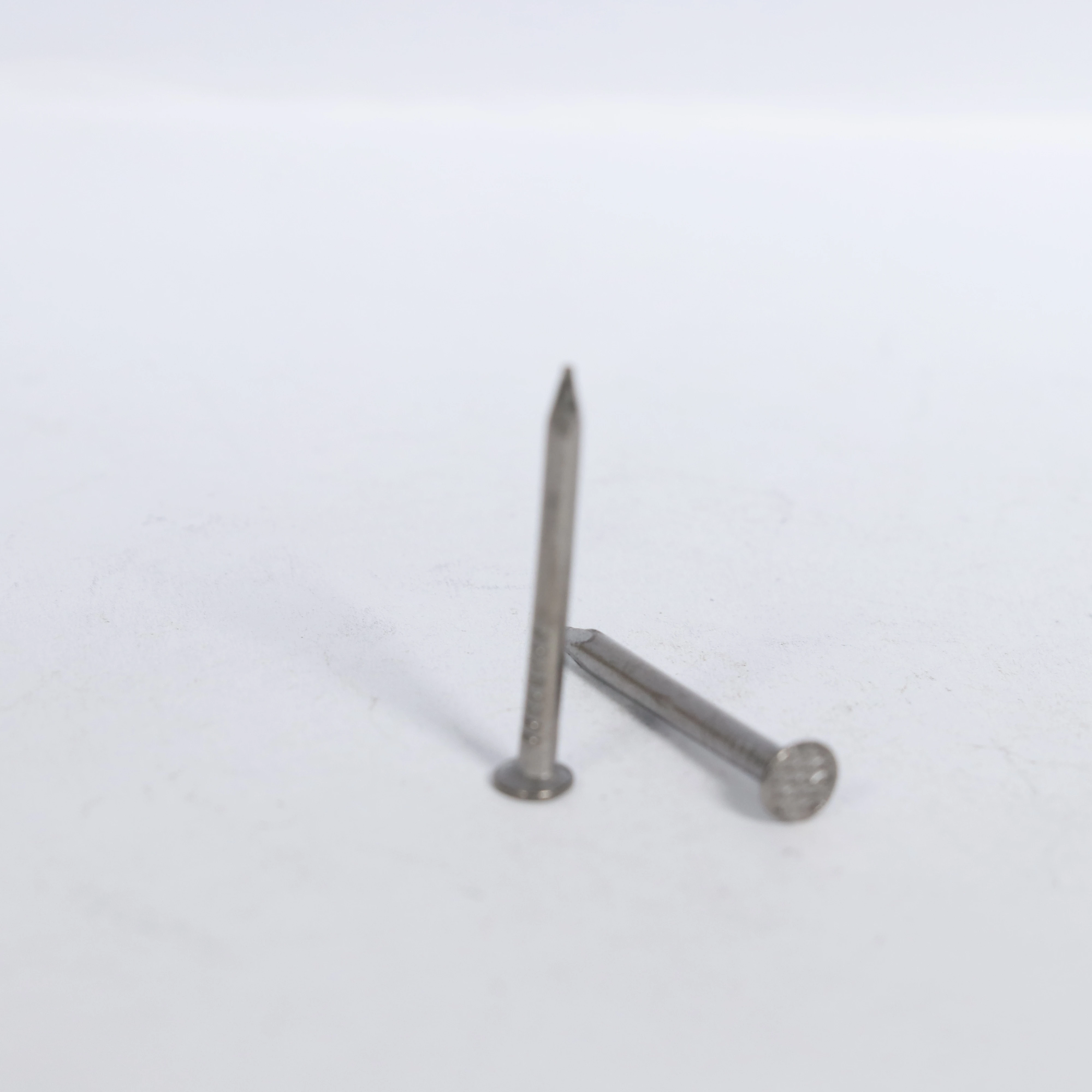 Обычные проволочные гвозди для продажи