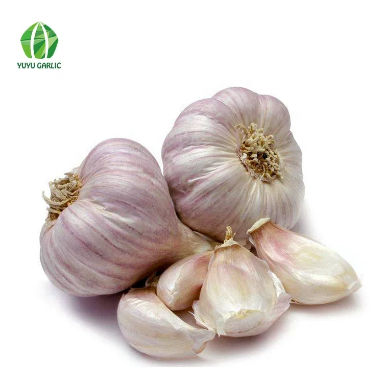 
Wholesale Chinese Natural Bulk Fresh White Garlic Price 