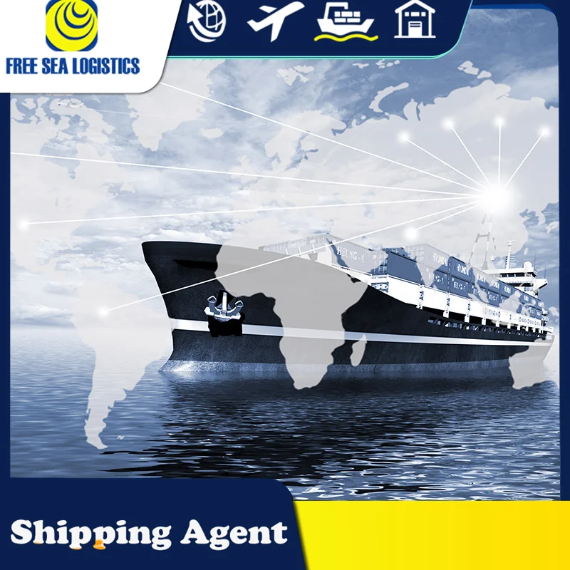 Ddp Shipping Forwarder Freight Shipping Agent To Bangladesh From China