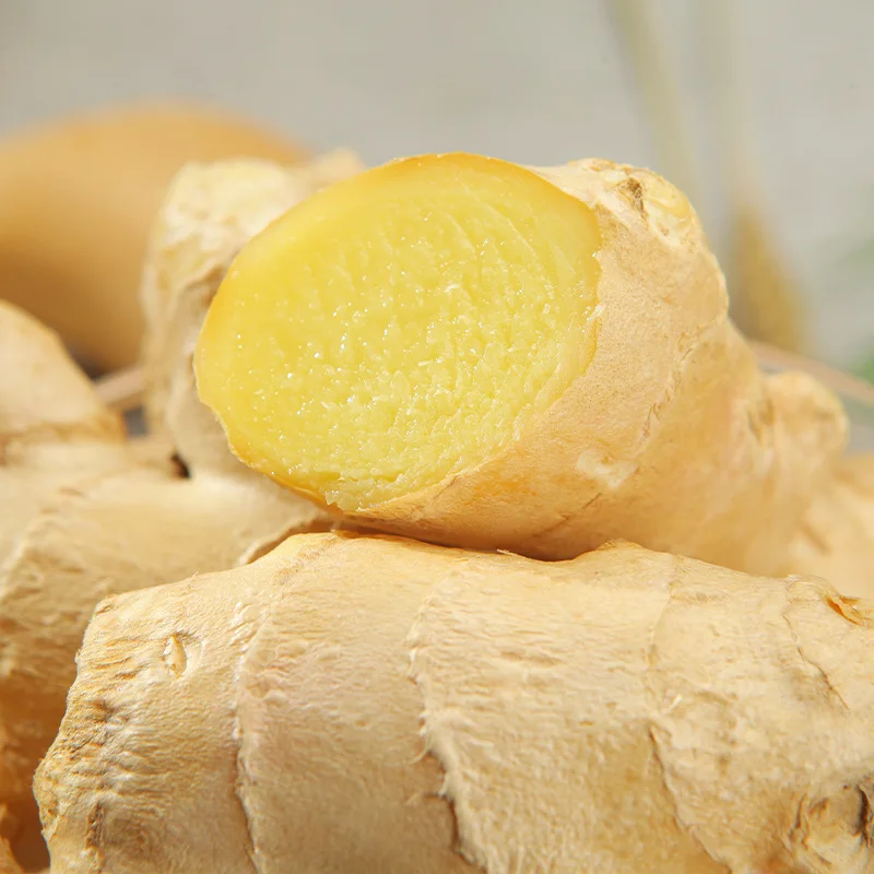 Good Quality Plump Clean Yellow Color Chinese Fresh Ginger Seeds