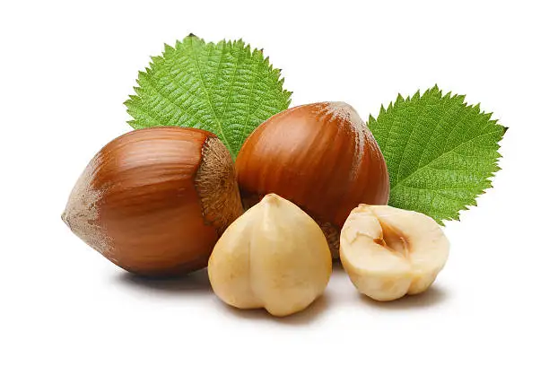 2021 Hot Sale hazelnut nuts spread hazelnut hazelnuts with best price