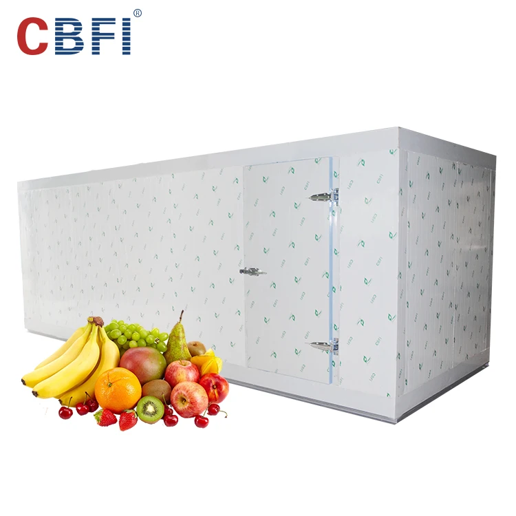 Hot selling Cold Storage Cold Room Cooling System , Blast freezer Room For Meat And Fish