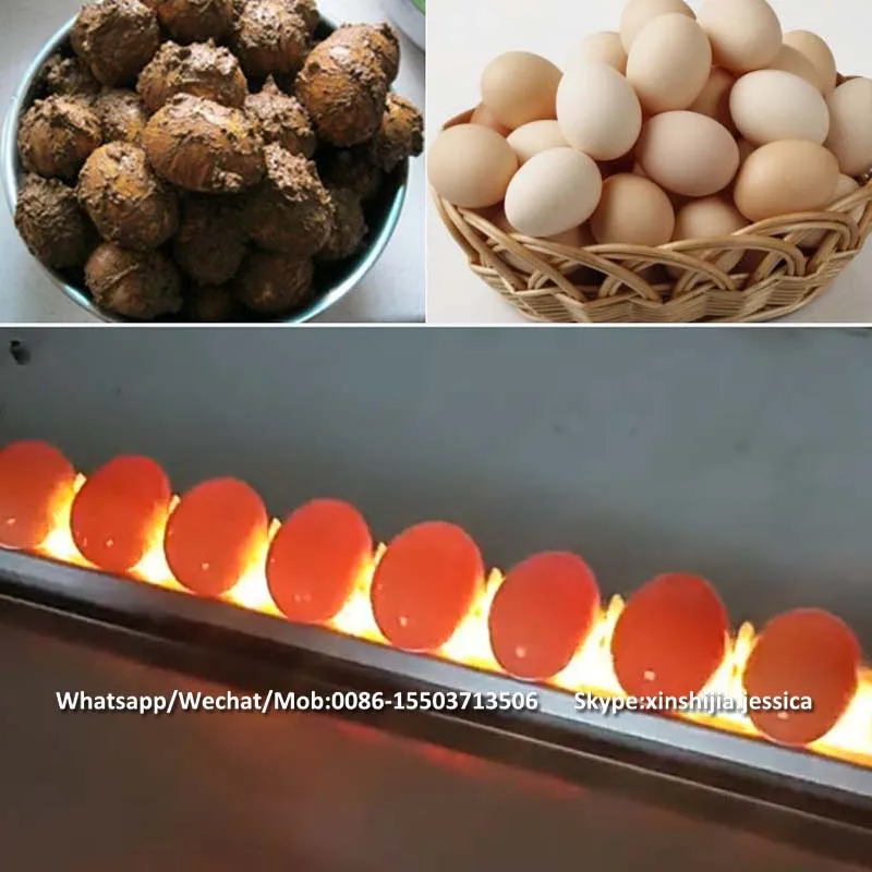 Big capacity commercial stainless steel automatic poultry chicken goose  salted duck egg cleaner