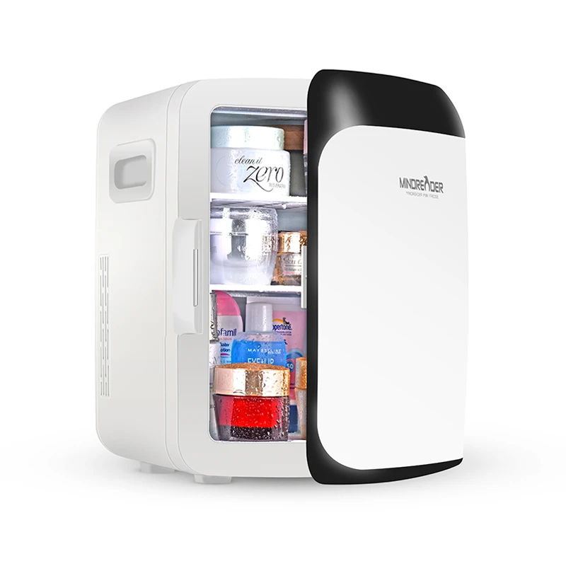  Amazon Hot 10L DC 12V AC 110V 230V мини холодильник на заказ мобильный домашний холодный