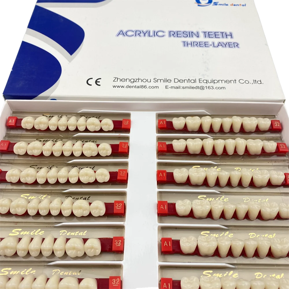 3-Layer Dentures Dental Posteriors Acrylic Resin Teeth Synthetic Teeth
