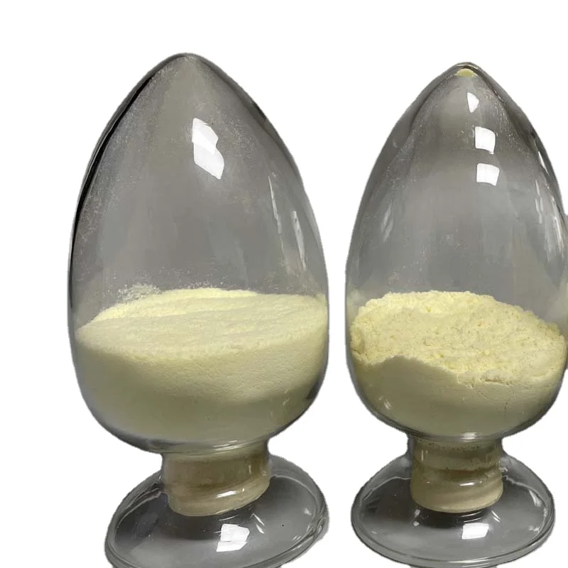 Top Grade Probiotics Supplements Bifidobacterium Lactis