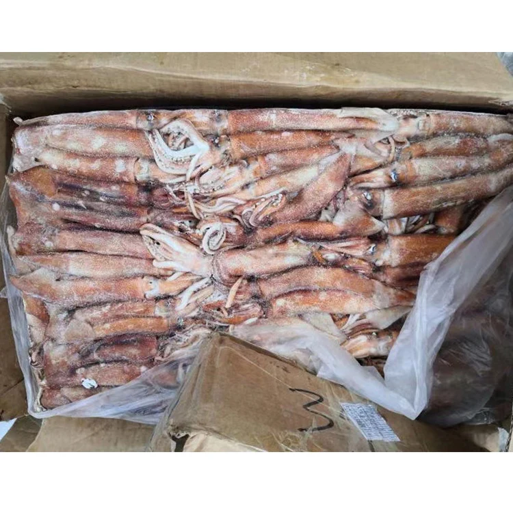 SANFENG SEAFOOD Best Price Whole Round Frozen Africa Squid
