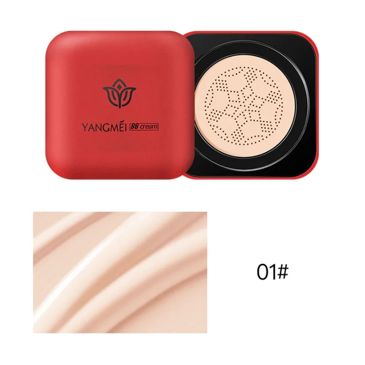 Foundation Manufactured BB Air Cushion with Mushroom tip brush