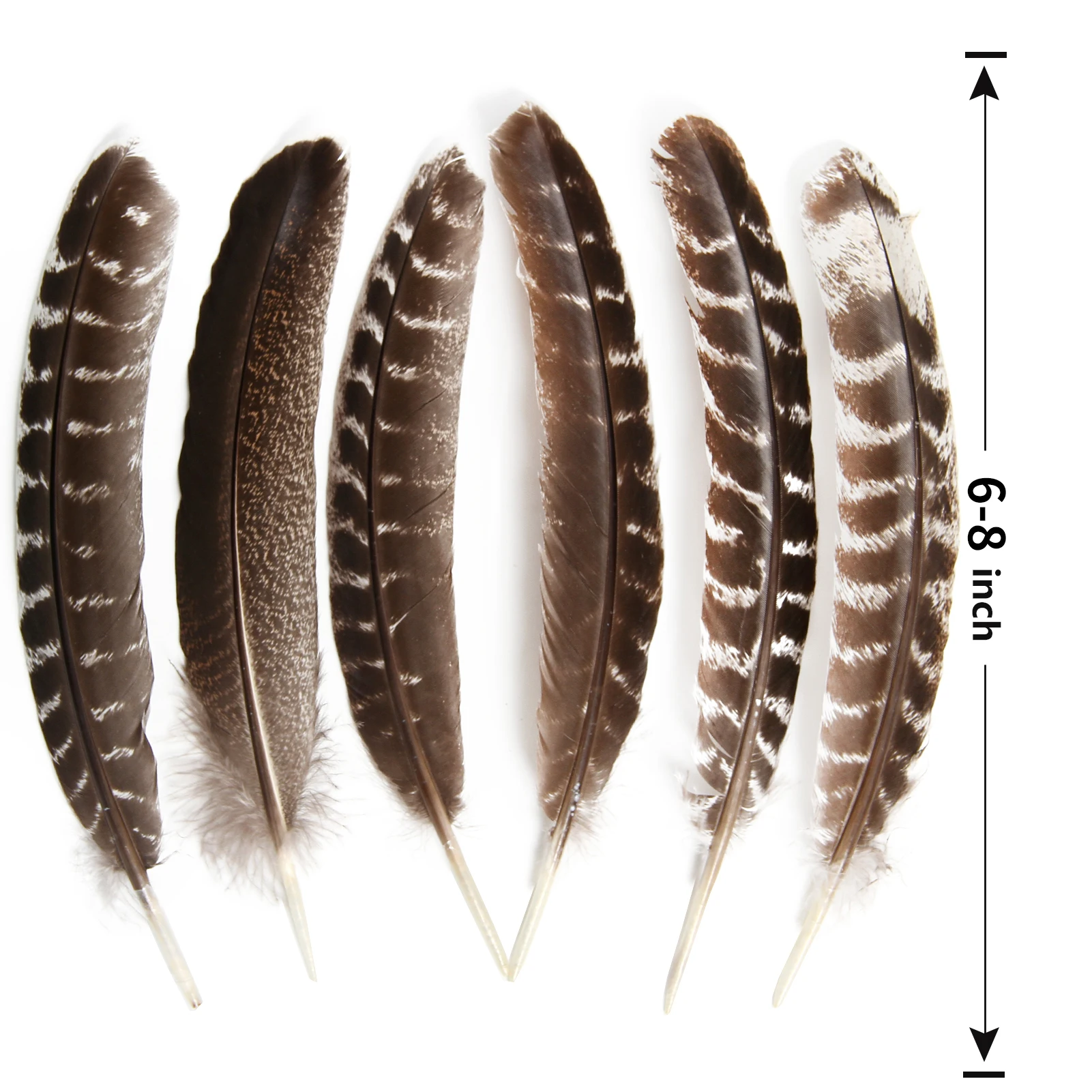 Hot-sale Wholesale cheap Wild Turkey Tails wing quill Feather For Fly Tying Crafts Indian Headdress Decorations