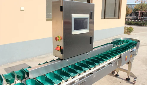 weight sorting machine