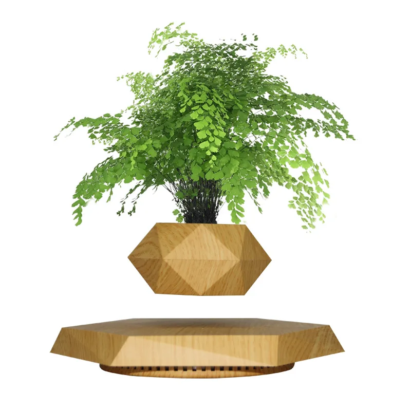 Магнитный левитирующий бонсай, деревянный плавающий горшок для растений, левитирующий цветочный горшок