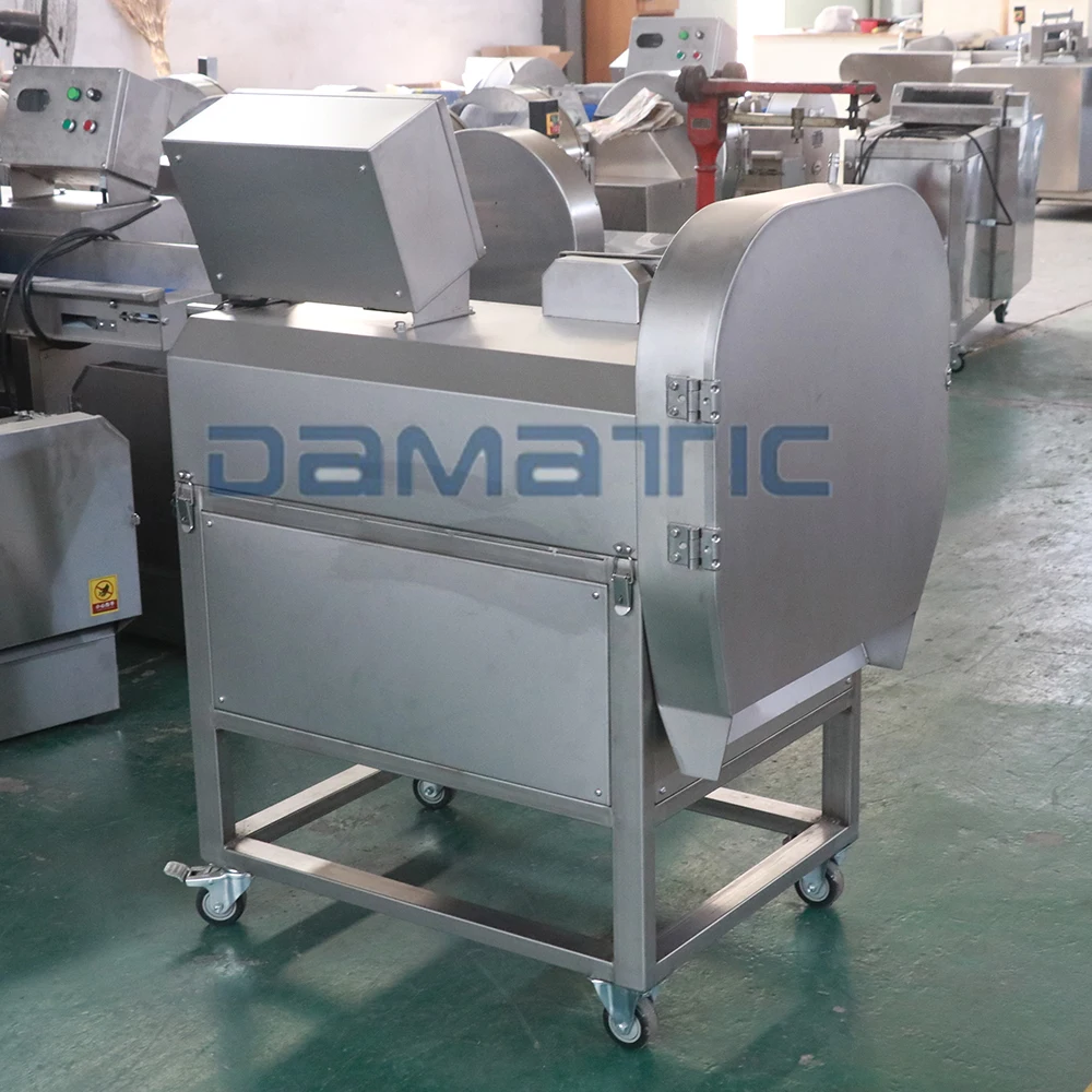 CHD 200 Wide Conveyor Belt Vegetable Spinach Chara Parsley Cutter Machine