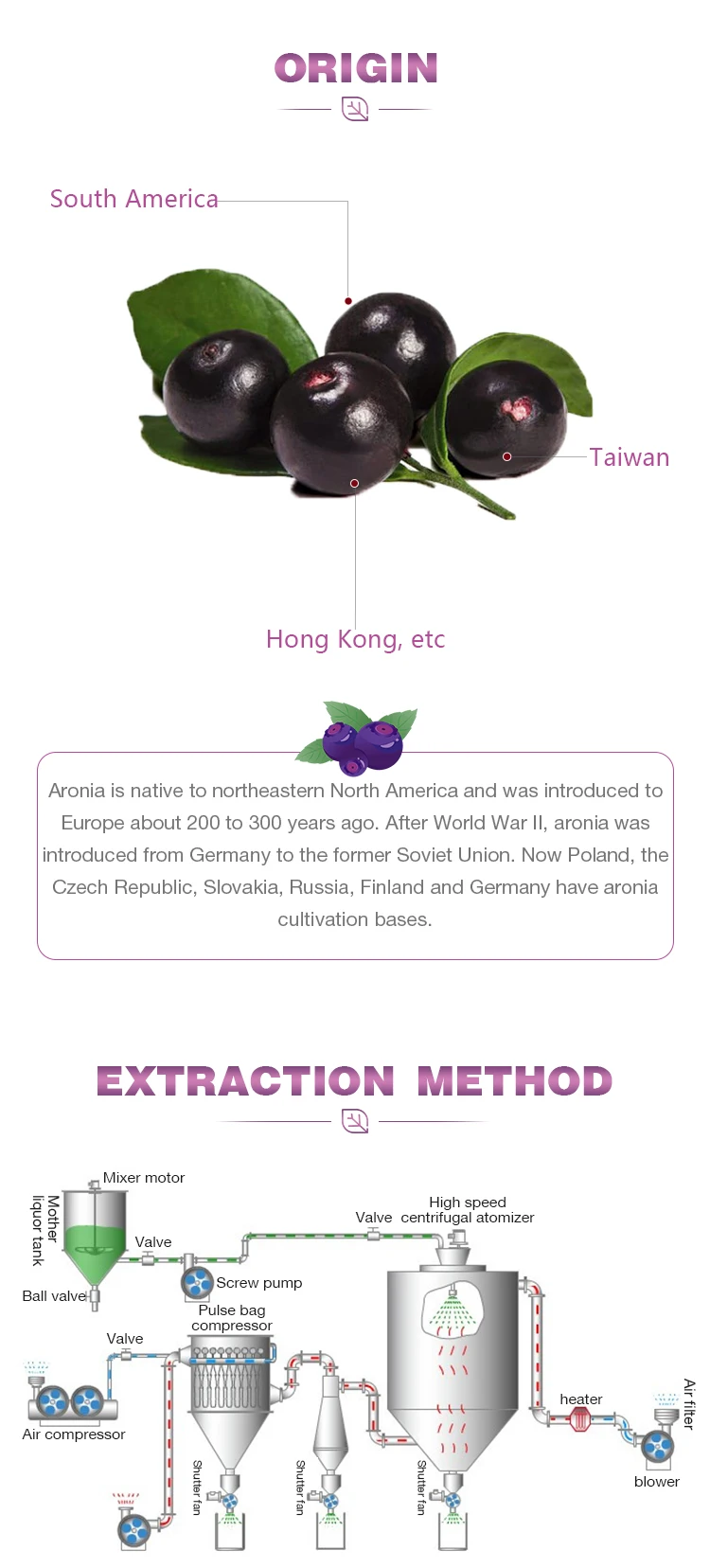 Supply Organic Freeze Dried Acai Berry Powder Water Soluble Acai Berry Fruit Powder Acai Berry Powder Brazil