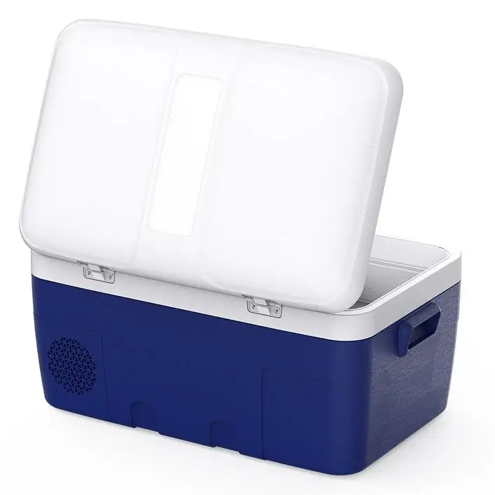 2020 hot-sale BC/D-55 DC12-24V compressor car refrigerator  Fridge freezer