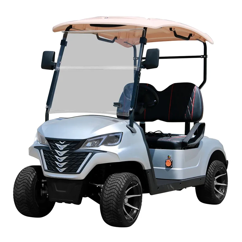 New Model 2 Seater Electric Golf Car Global Sale Lifted Golf Car