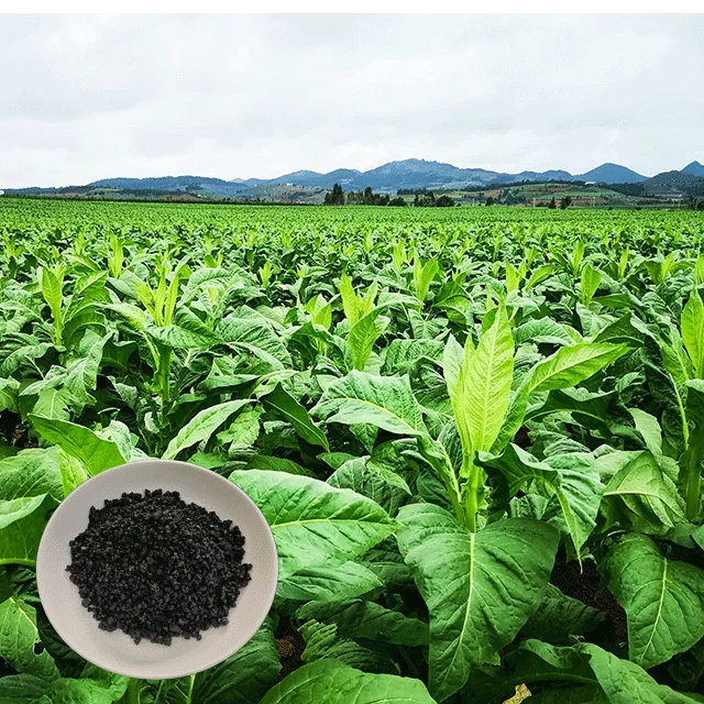 China Humate 30% discount 5% K2O bio fertilizer plant nutrient absorption enhancer humic acid organic fertilizer