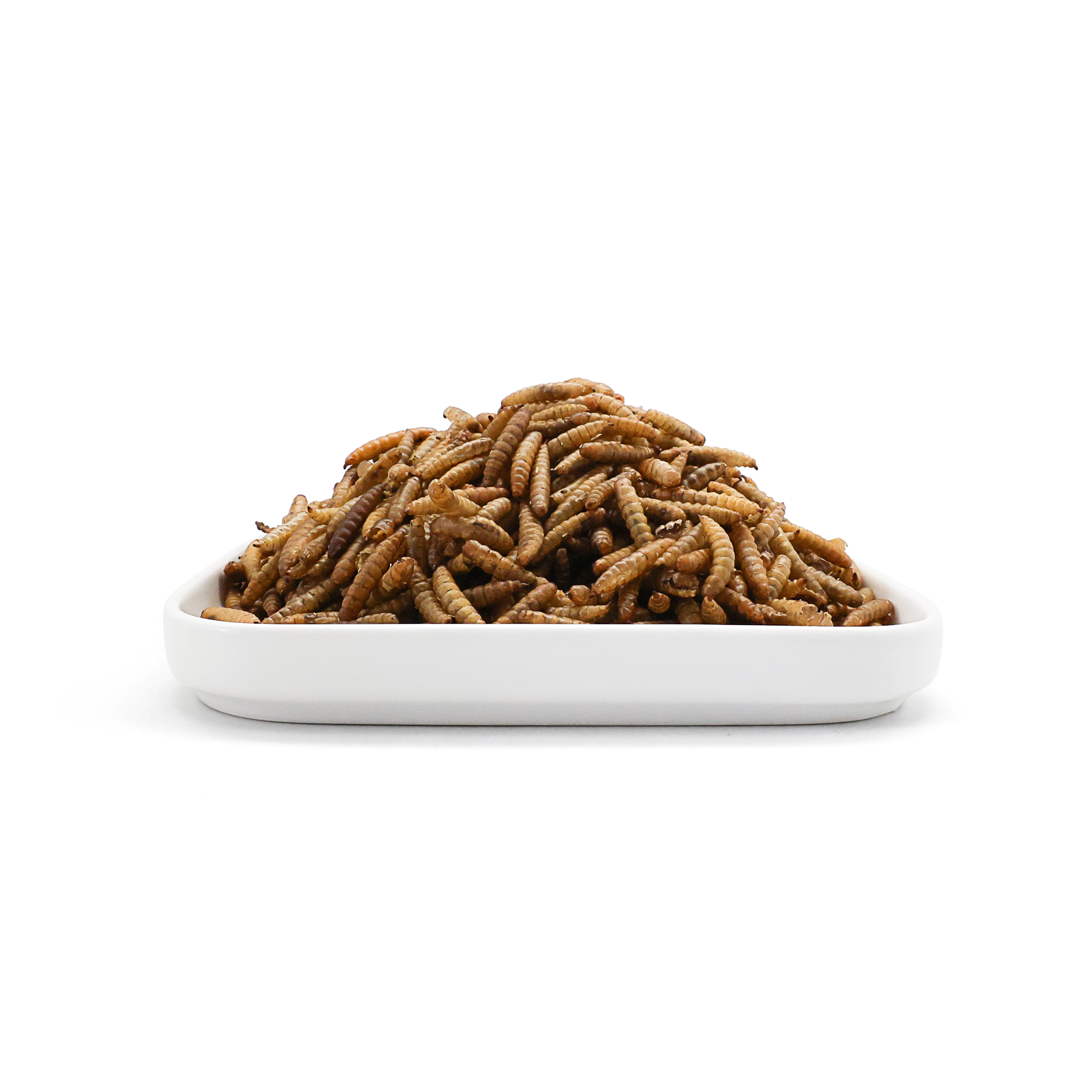 Ranova micro dry pet natural snacks black soldier fly larvae wholesale all natural dry pet food