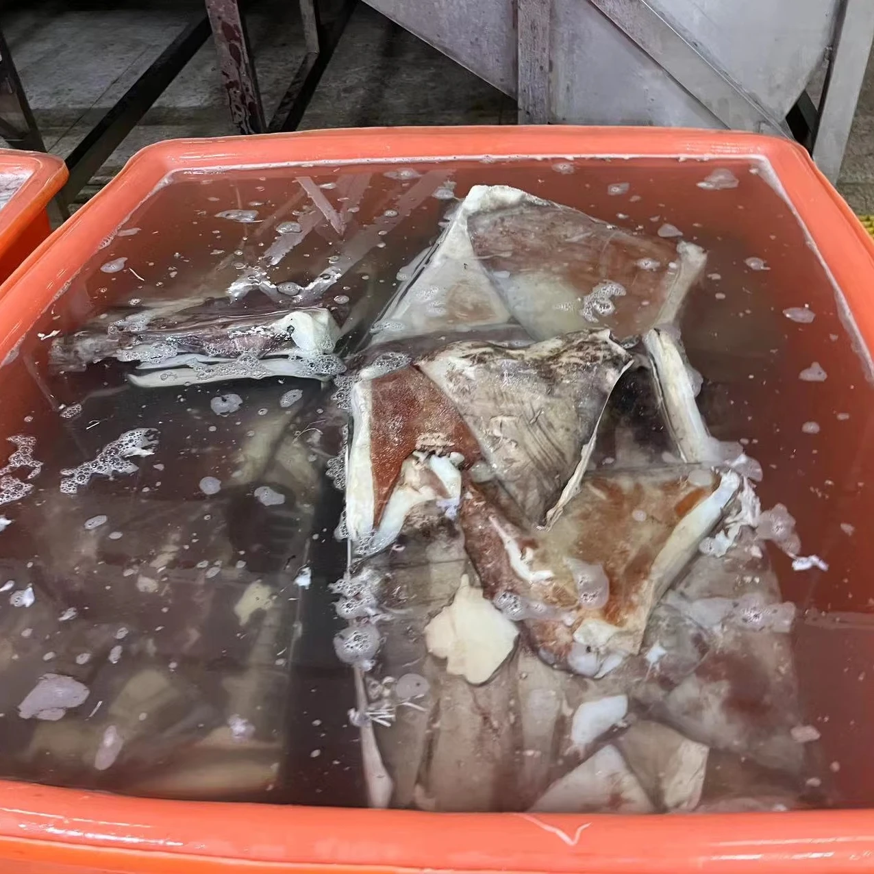 Frozen Giant squid wings skin on dosidicus gigas wings Peru Squid wings with skin