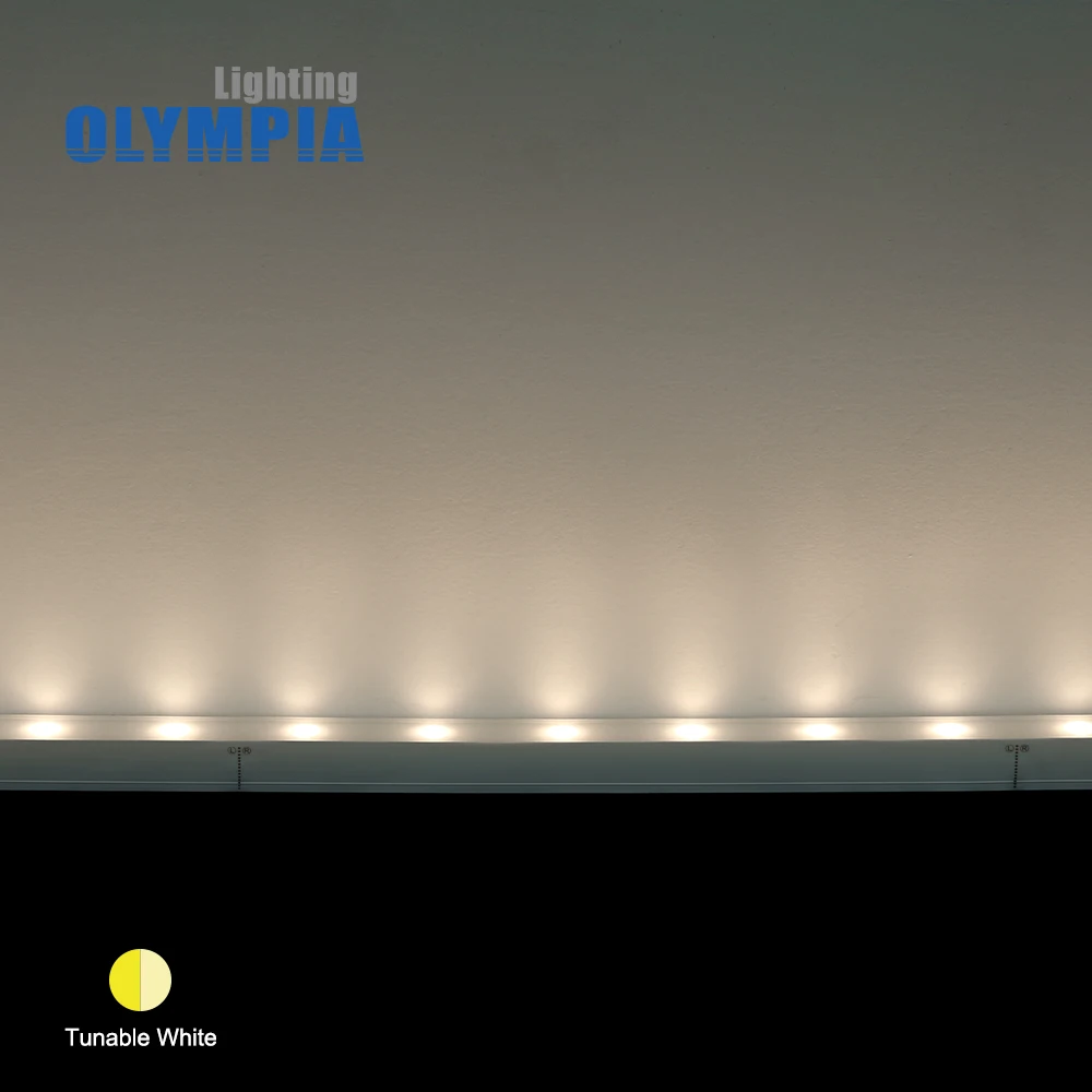 CE RoHS CB linear wall washer light facade lighting tunable white waterproof IP68 24V 19W silicone flexible led wall washer