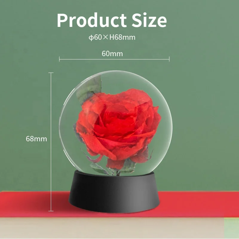 resin natural real preserved red rose dried flowers decorative resin flower globe ball with black base Christmas eternity roses