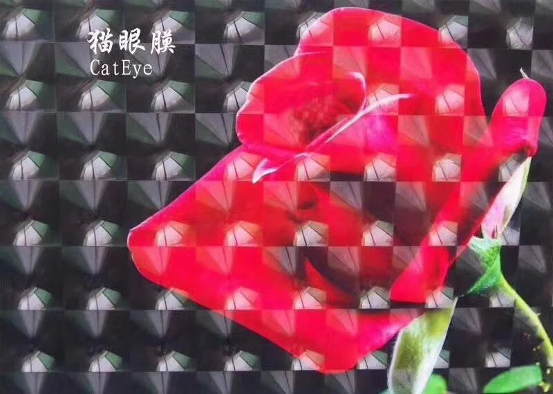 Soft Hardness and Translucent Transparency PVC cold film for lamination