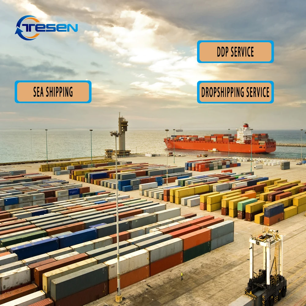 Ddp Shipping Agent From China  Sea Freight China Freight Forwarder To USA Collection Shipping to Amazon FBA warehouse