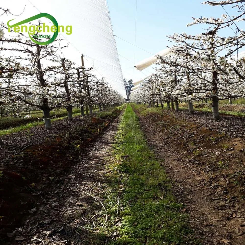 factory price anti acid rain orchard cover grapes / cherry tent plastic cover reinforced poly film for cherry tree