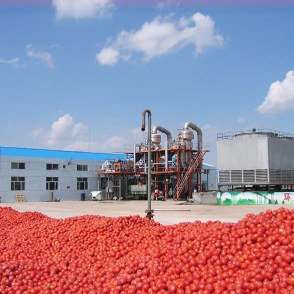 Automatic semi-automatic tomato paste sauce tomato ketchup making machine processing plant production line
