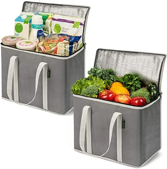 Durable Waterproof Multipurpose Foldable Non Woven Ice Cooler Bag Insulated bag food