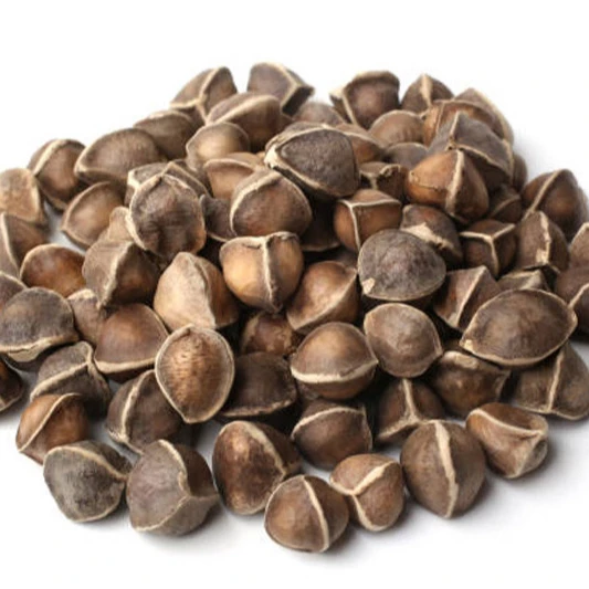 
moringa seeds for sale from india 
